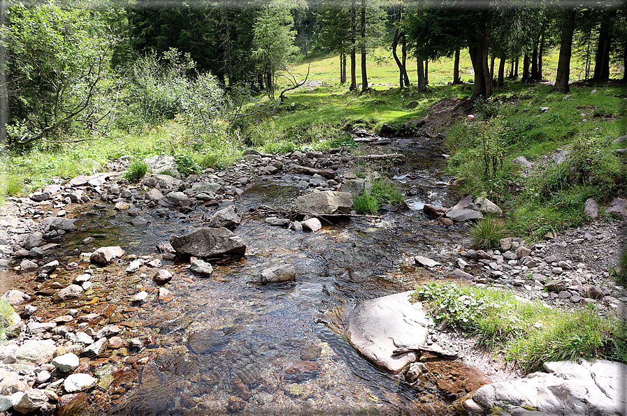 foto Da Forcella Montalon a Val Campelle